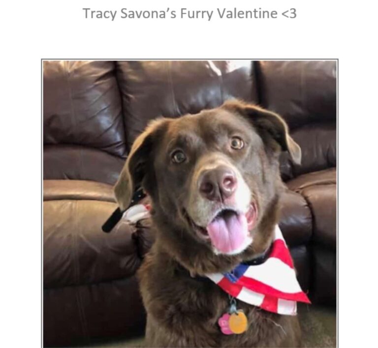 Home Care in Pittsburgh PA: Valentines Contest