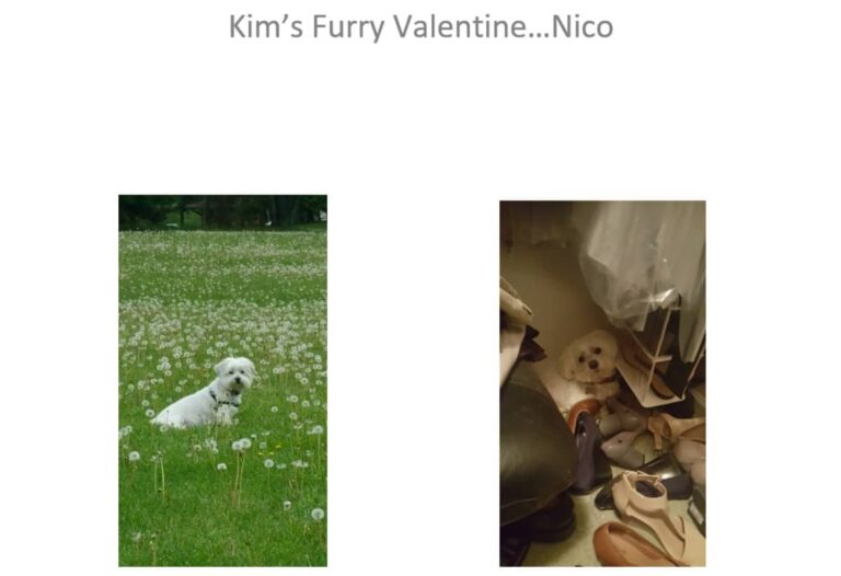 Home Care in Pittsburgh PA: Furry Contest