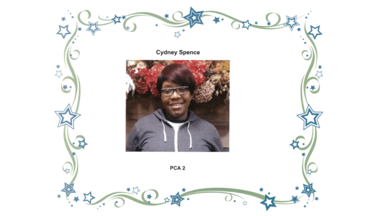 Home Care in Pittsburgh PA: 52 Finest
