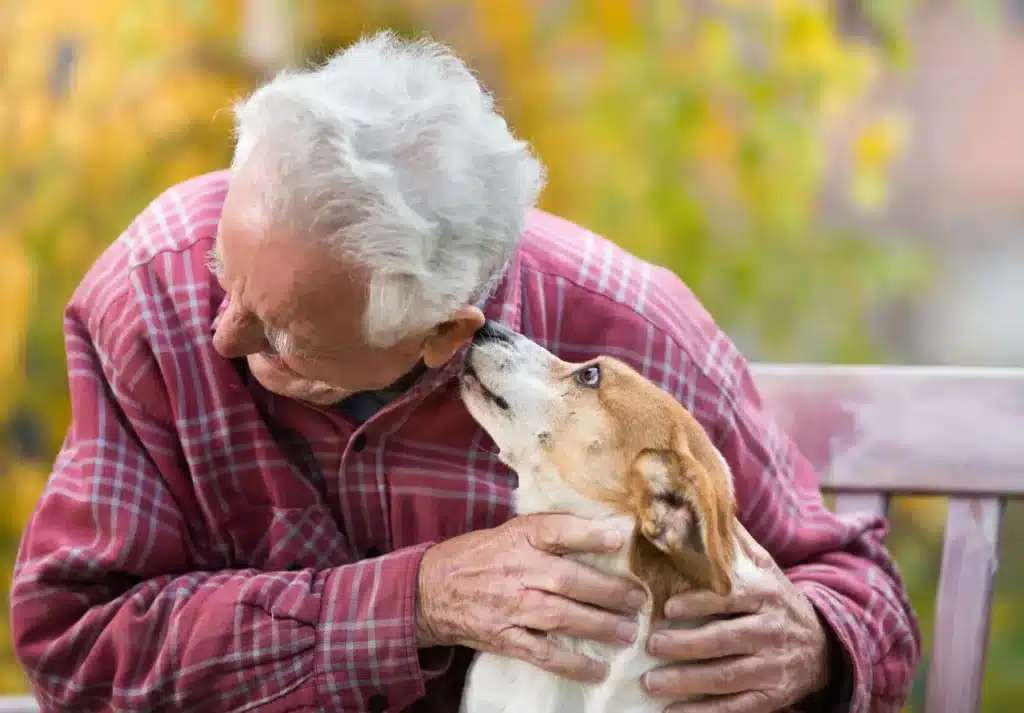 Home Care in Pleasant Hills, PA by Superior Home Care
